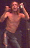 Iggy Pop