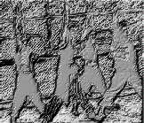 Caught in the Act morgen